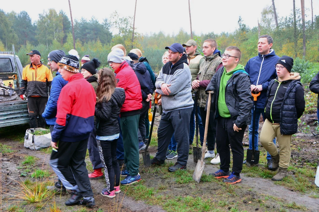 Kuklinów. Posadzili nowy las