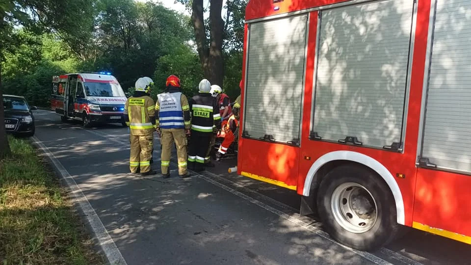 Samochód osobowy uderzył w drzewo w Piaskach