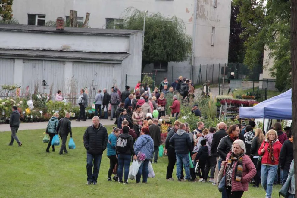 Wyróżnienie dla KGW w Witaszyczkach na targach w Marszewie