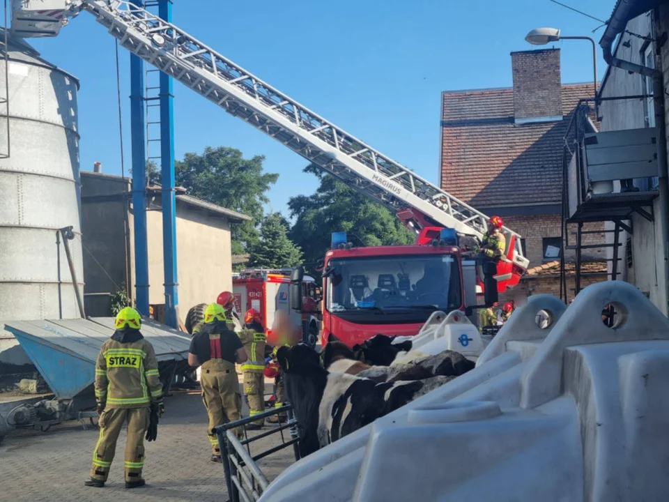 Krobia. Mężczyzna zasłabł i utknął w silosie na zboże. Pomogli strażacy