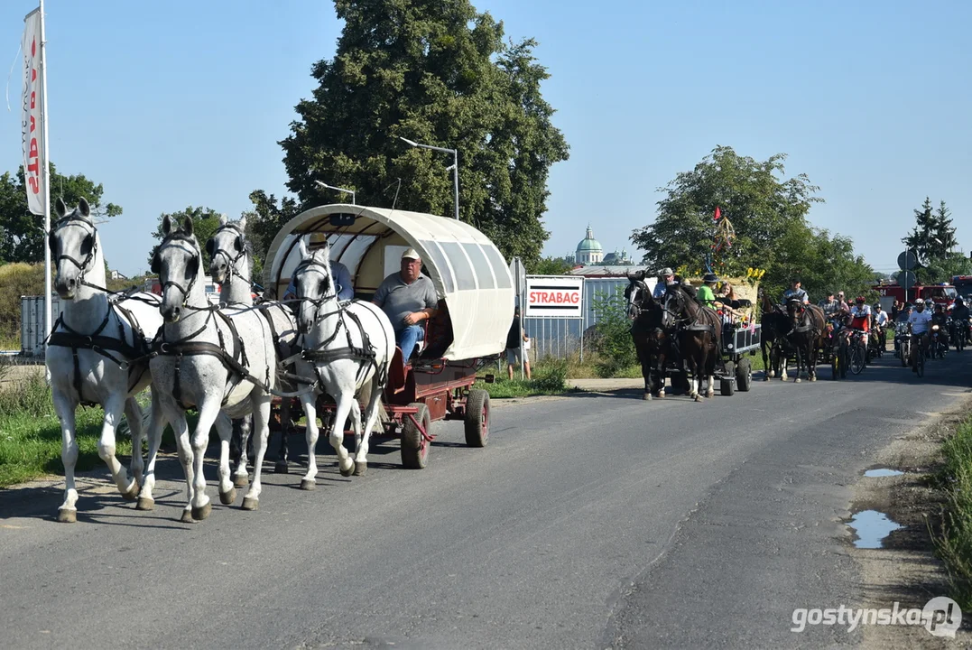 Parada zabytkowych pojazdów podczas dożynek powiatowych na Świętej Górze 2023