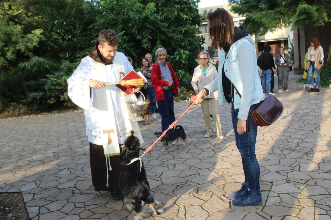 U franciszkanów w Jarocinie z okazji odpustu błogosławiono zwierzęta