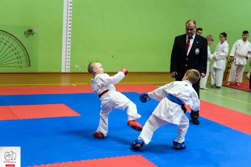 Kobylin. Turniej Karate o Puchar Burmistrza