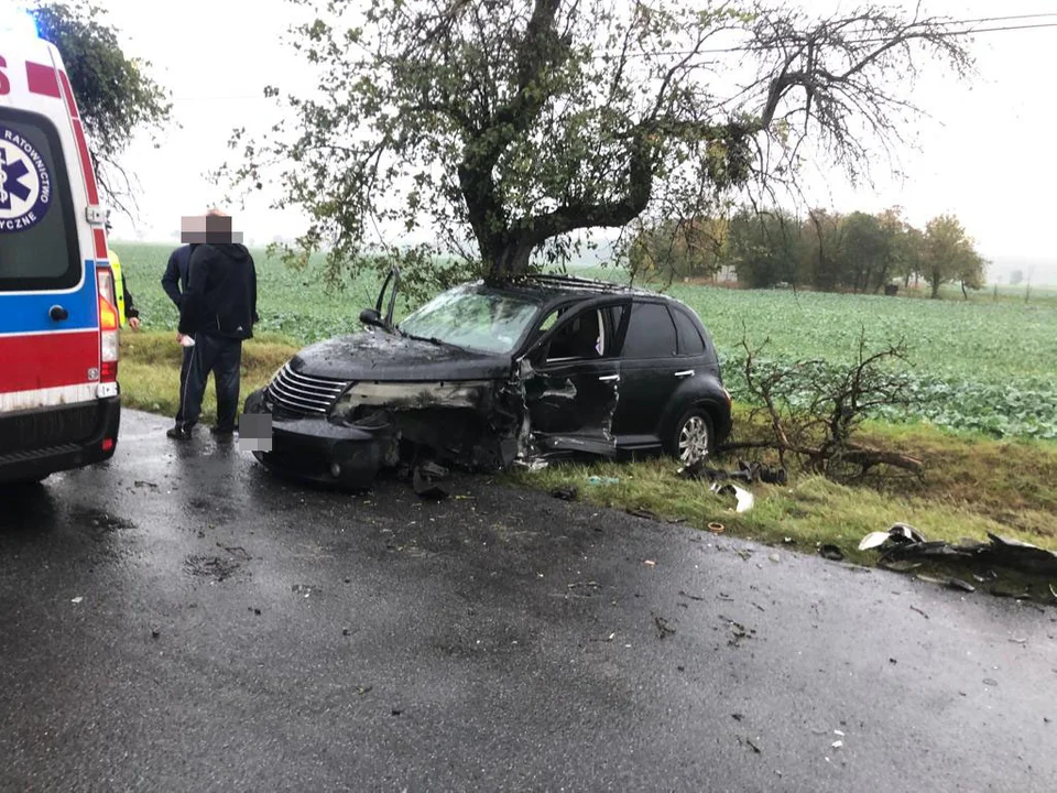 Wypadek drogowy na trasie Pępowo-Pogorzela