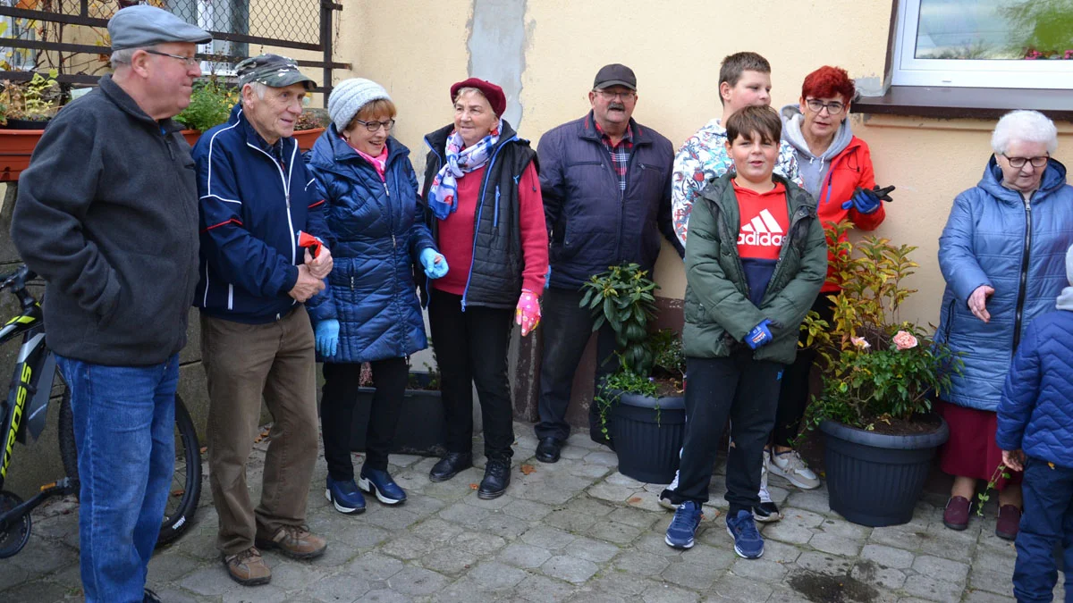 Seniorzy w Piaskach się nie nudzą. Tym razem sadzili rośliny przed swoim Klubem - Zdjęcie główne