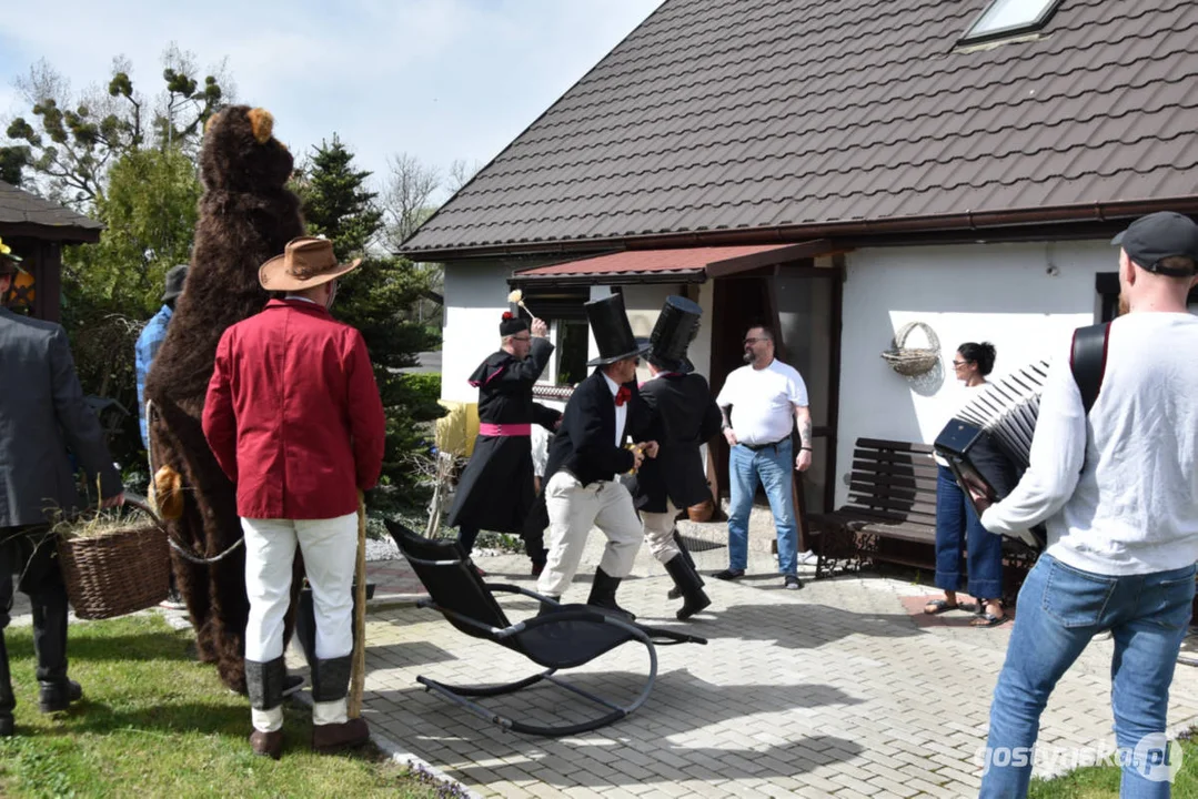 "Niedźwiedzie" wróciły do Zalesia - wesoły śmigus-dyngus