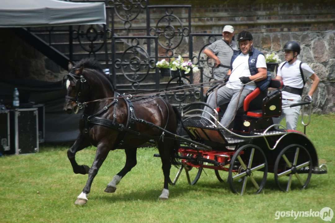 Rokosowo Horse Show 2024 - dzień pierwszy