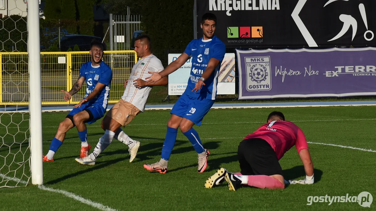 Kania Gostyń - Wisła Borek Wielkopolski 3 : 0