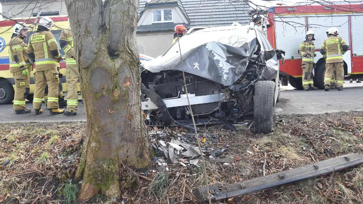 57-latek uderzył autem w drzewo. Kierowca miał gigantyczne szczęście - Zdjęcie główne