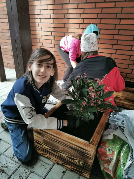 Rozkwitło wejście do budynku z pracowniami GOK Hutnik