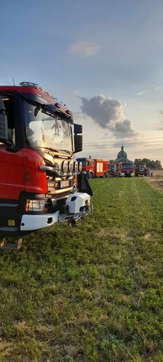 Pożar zboża na Głogówku i innych miejscowościach powiatu gostyńskiego