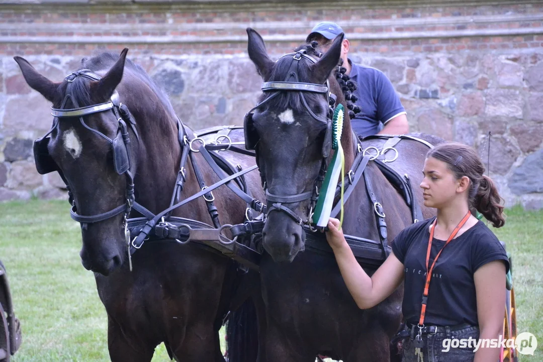 Rokosowo Horse Show 20224 - Konie i Powozy na Zamku Wielkopolskim w Rokosowie