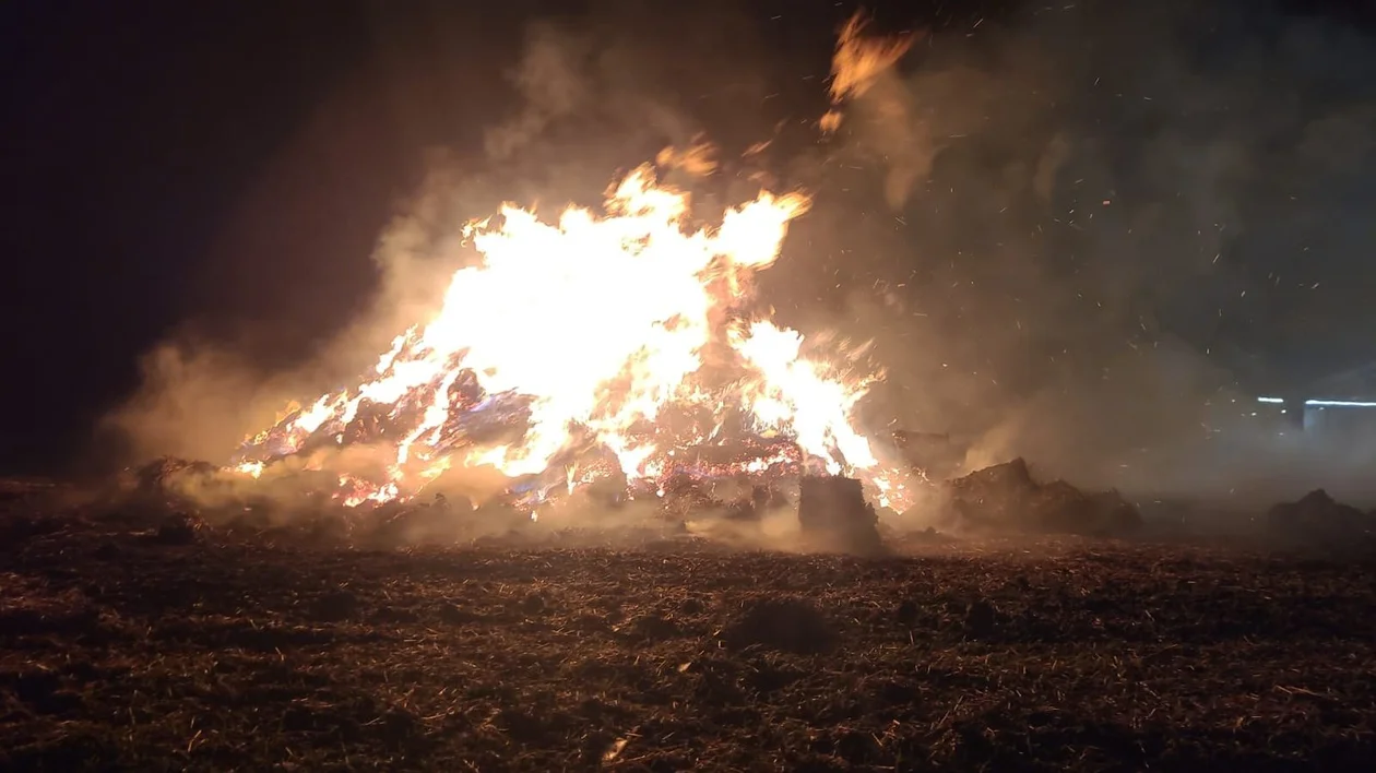 Pożar stogu w Roszkówku. Z ogniem walczyło 6 zastępów straży pożarnej [ZDJĘCIA] - Zdjęcie główne