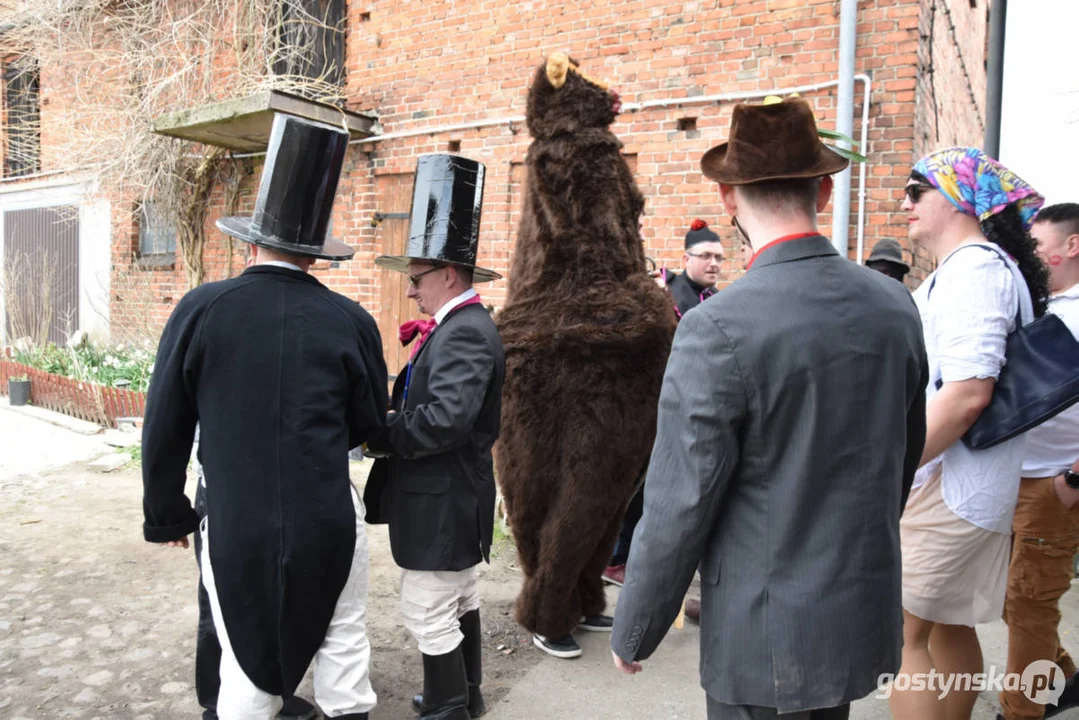 "Niedźwiedzie" wróciły do Zalesia - wesoły śmigus-dyngus