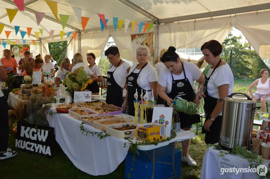 XII Festiwal Tradycji i Folkloru w Domachowie 2024