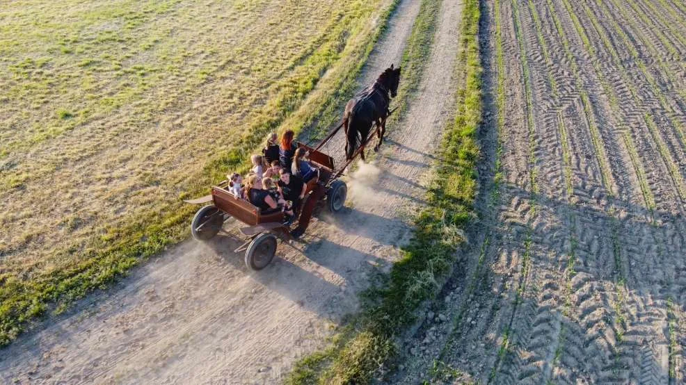 Stajnia Papillon w Rozdrażewie zorganizowała wyjątkowy Dzień Dziecka [WIDEO, ZDJĘCIA] - Zdjęcie główne