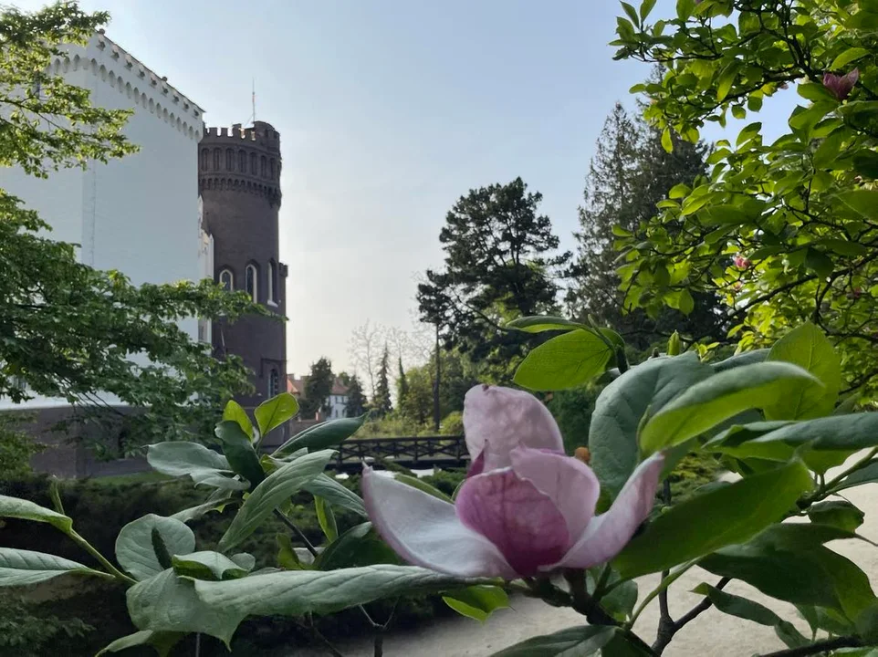 Arboretum Kórnickie