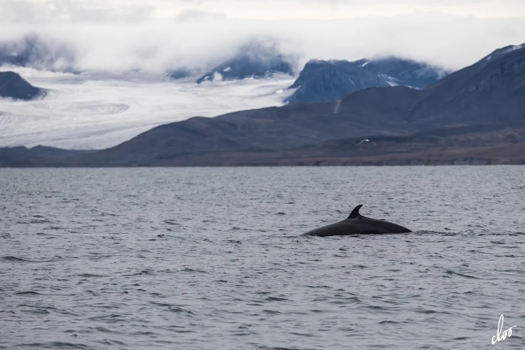 Wyprawa pleszewian na Spitsbergen