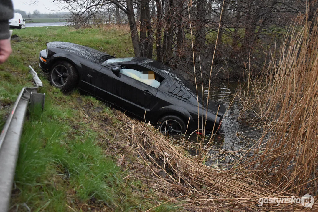 Mustang wpadł do stawu. Straż pożarna z Gostynia w akcji