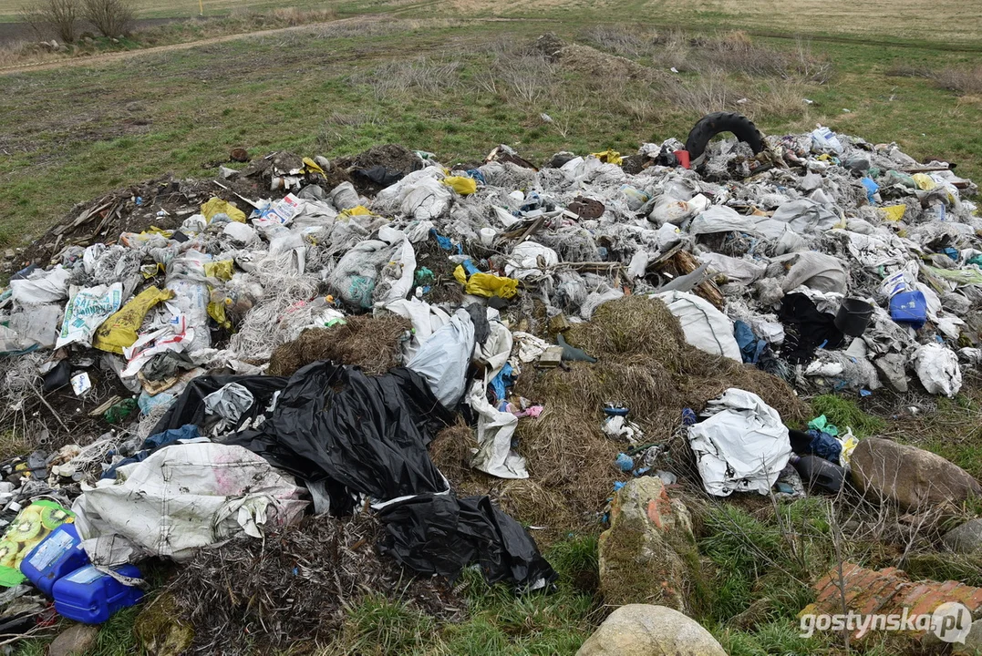 Ogromna hałda śmieci na polu w Żytowiecku