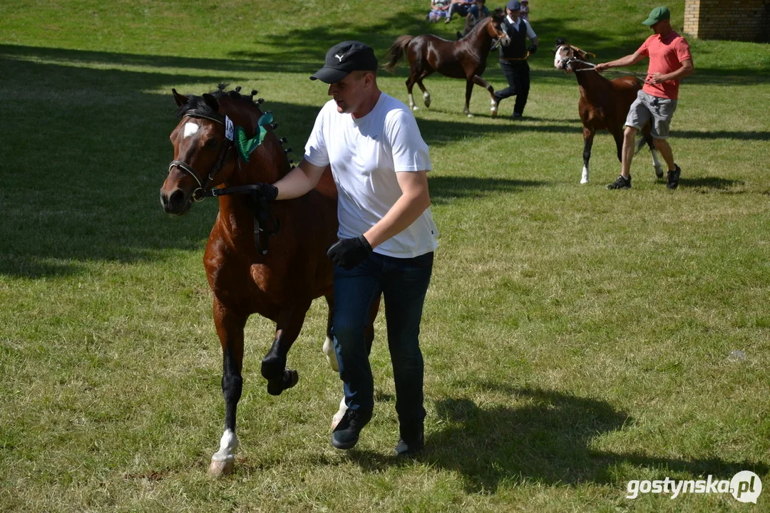 Rokosowo Horse Show 20224 - Konie i Powozy na Zamku Wielkopolskim w Rokosowie