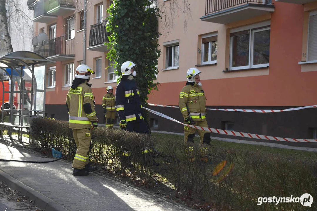 Pożar mieszkania na osiedlu w Gostyniu