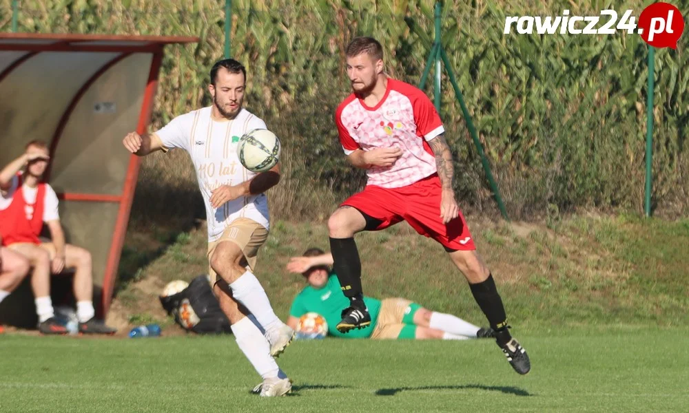 Awdaniec Pakosław - Wisła Borek Wielkopolski 2:5