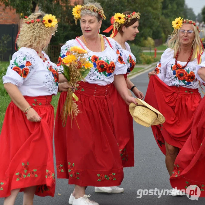 Dożynki w Brzeziu 2023