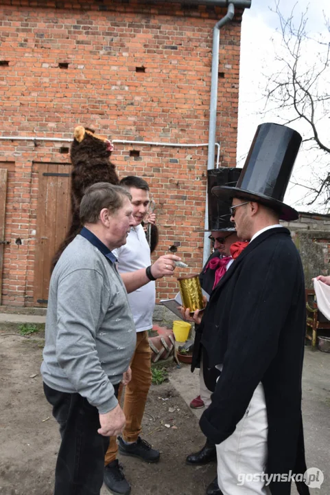 "Niedźwiedzie" wróciły do Zalesia - wesoły śmigus-dyngus