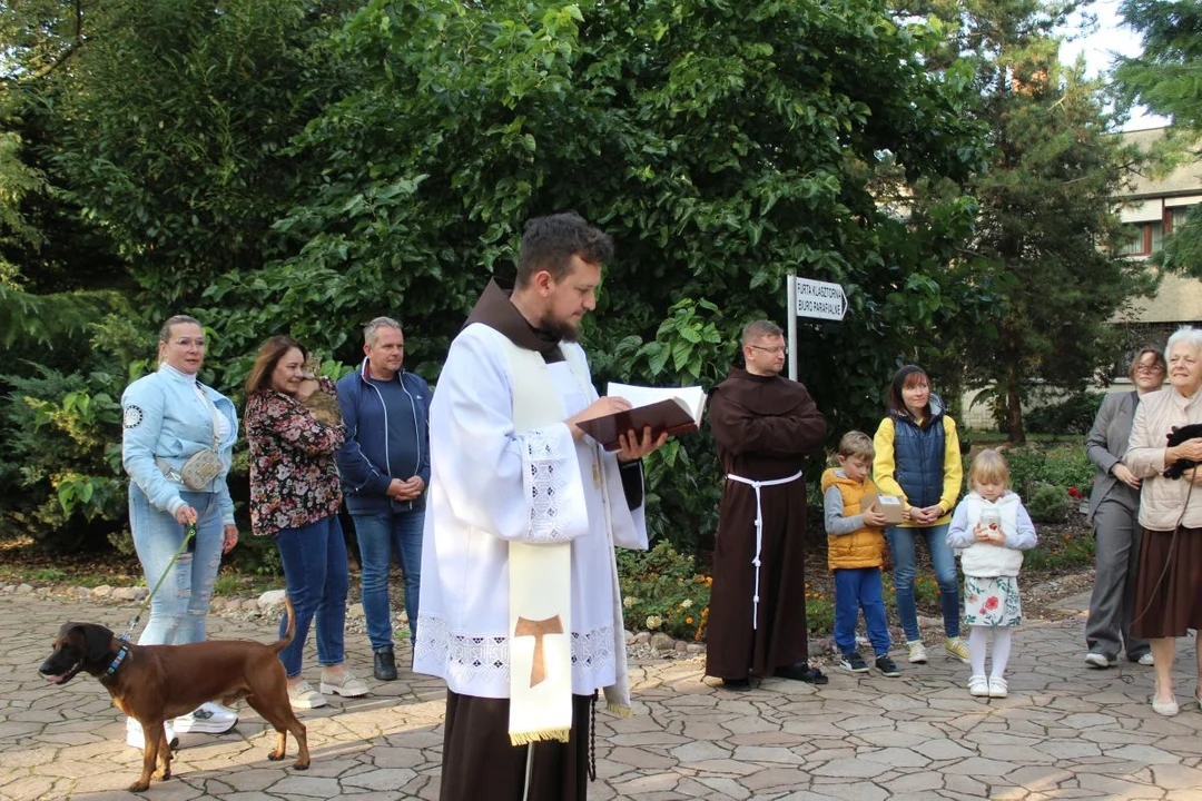 U franciszkanów w Jarocinie z okazji odpustu błogosławiono zwierzęta