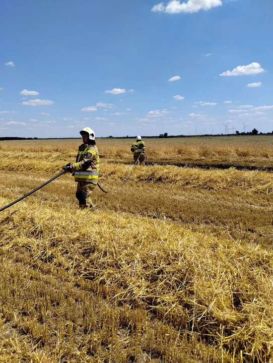 Pożar zboża na Głogówku i innych miejscowościach powiatu gostyńskiego