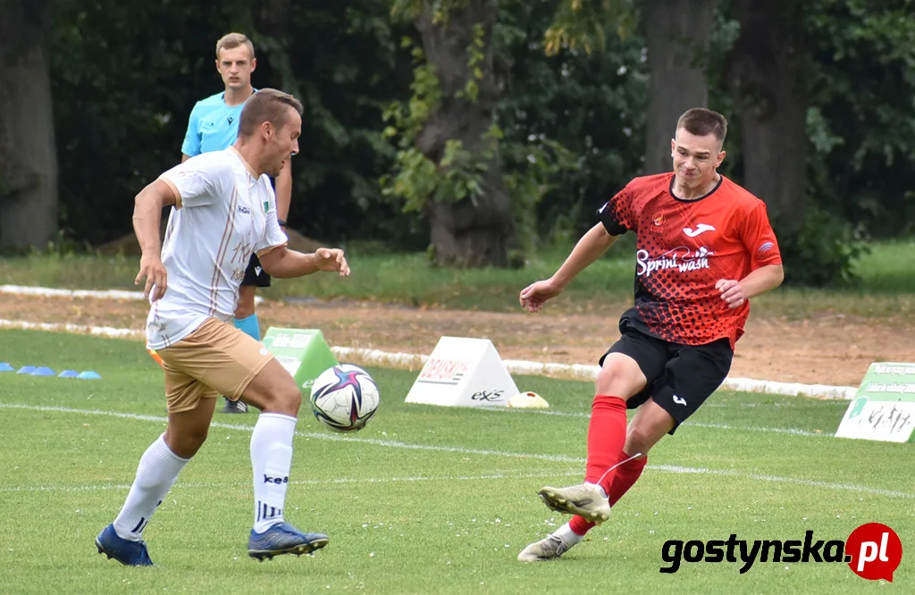 Wisła Borek Wielkopolski - Lider Swarzędz 2 : 0