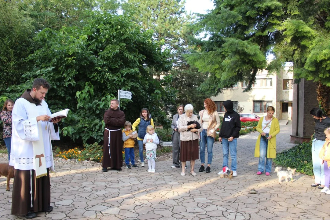 U franciszkanów w Jarocinie z okazji odpustu błogosławiono zwierzęta