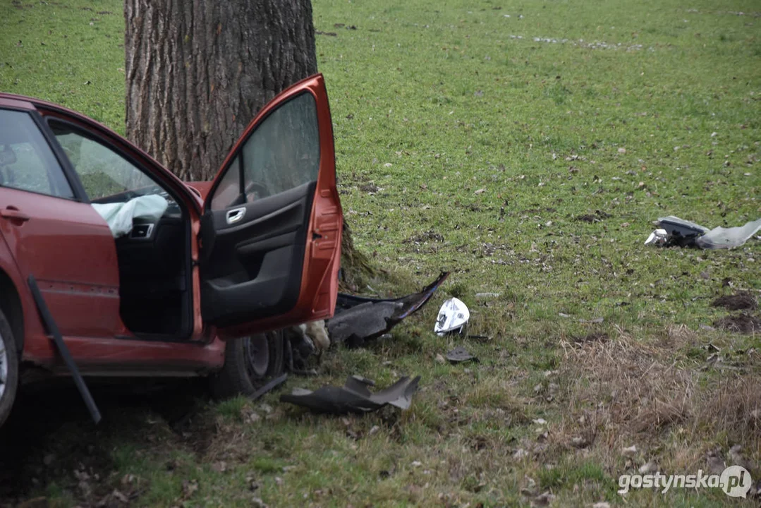 Wypadek samochodowy na drodze Strzelce Wielkie - Lipia (droga Piaski - Pogorzela)