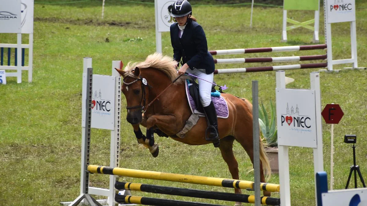 Rokosowo Horse Show 2024 na Zamku Wielkopolskim w Rokosowie. W niedzielę na parkurze pojawiły się młode nadzieje olimpijskie - Zdjęcie główne