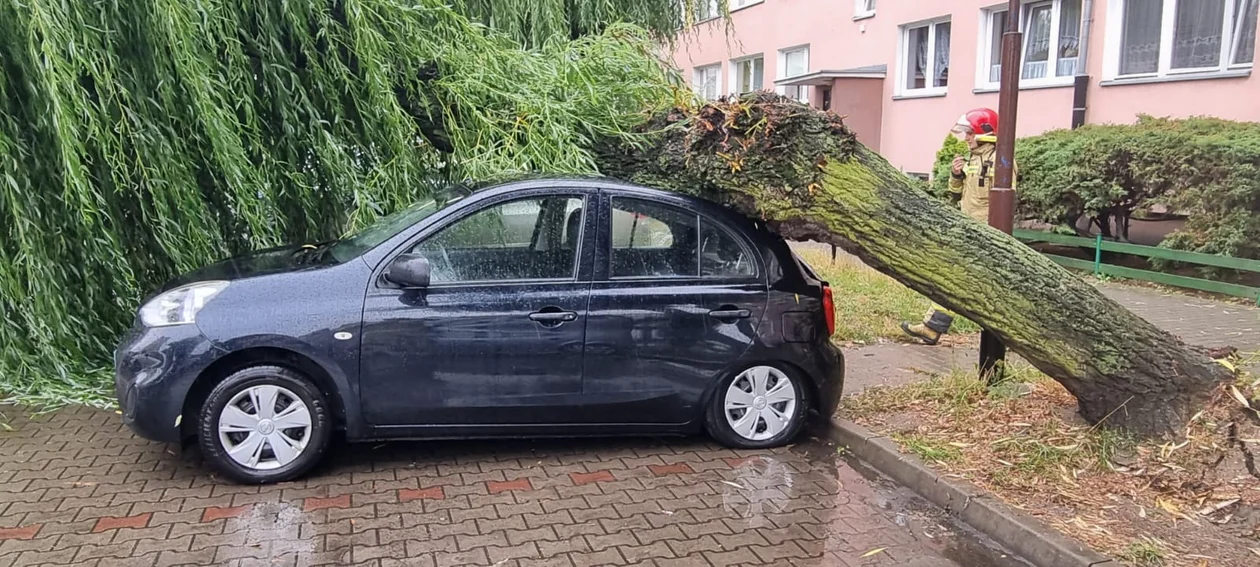 Intensywne opady w powiecie pleszewskim. Strażacy odnotowali sześć interwencji. Wśród nich drzewo, które przewróciło się na auto - Zdjęcie główne