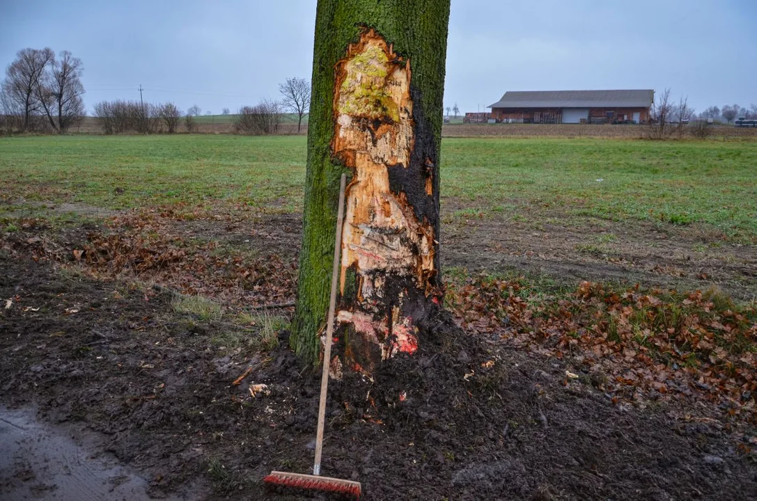 Zdarzenie drogowe na trasie Żerków-Chrzan. Naczepa uderzyła w drzewo