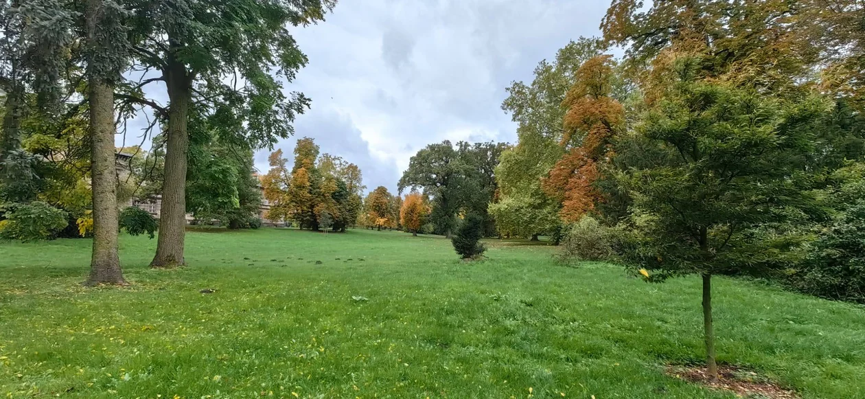 Park w Klęce to prawdziwa perełka. Warto zajrzeć tam właśnie teraz