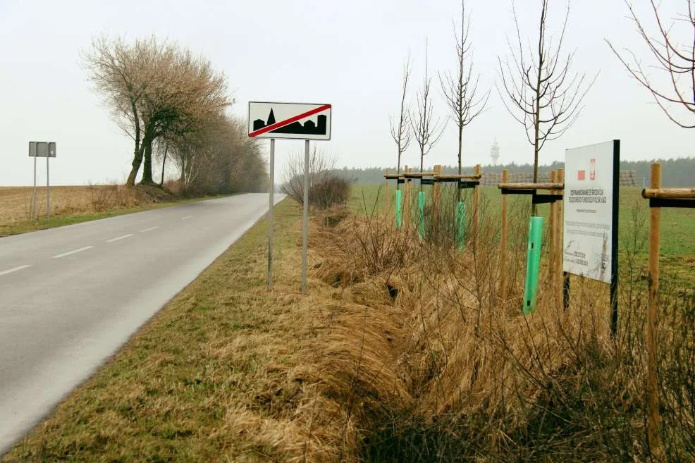 Będą nowe ścieżki rowerowe przy drogach powiatu jarocińskiego. Gdzie dokładnie powstaną? [ZDJĘCIA]