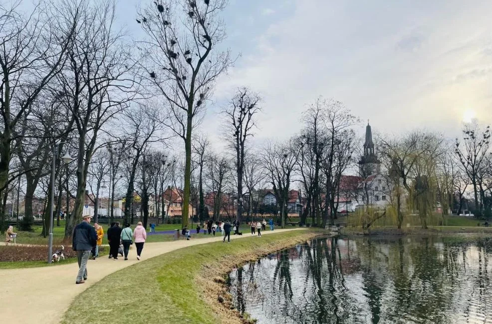 Tłumy w Parku Radlińskich w Jarocinie