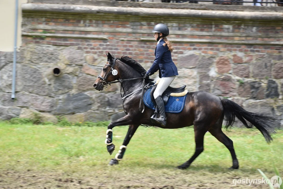 Rokosowo Horse Show - dzień drugi