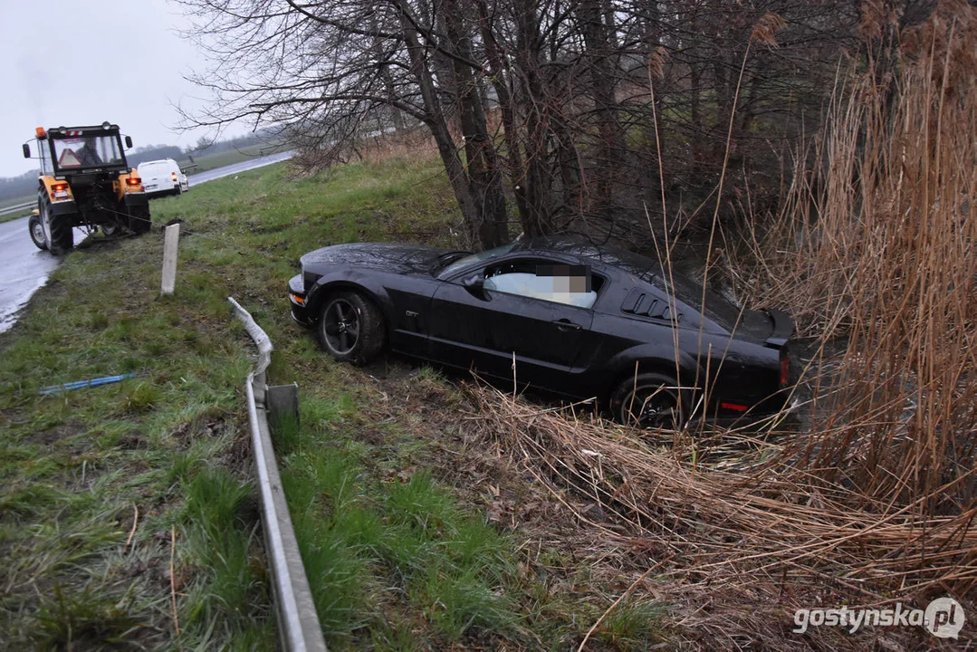 Mustang wpadł do stawu. Straż pożarna z Gostynia w akcji