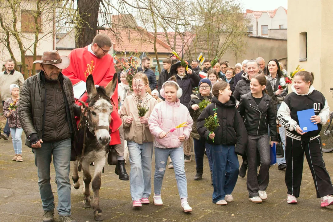 Wyjątkowa Niedziela Palmowa w pleszewskiej farze. Proboszcz na osiołku i sceny jak z biblijnej Jerozolimy