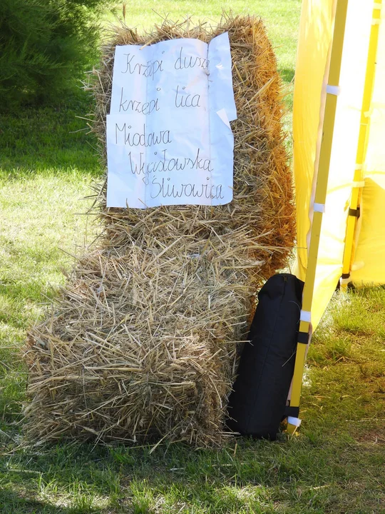 Witacze dożynkowe w Wycisłowie (gm. Borek Wlkp.)