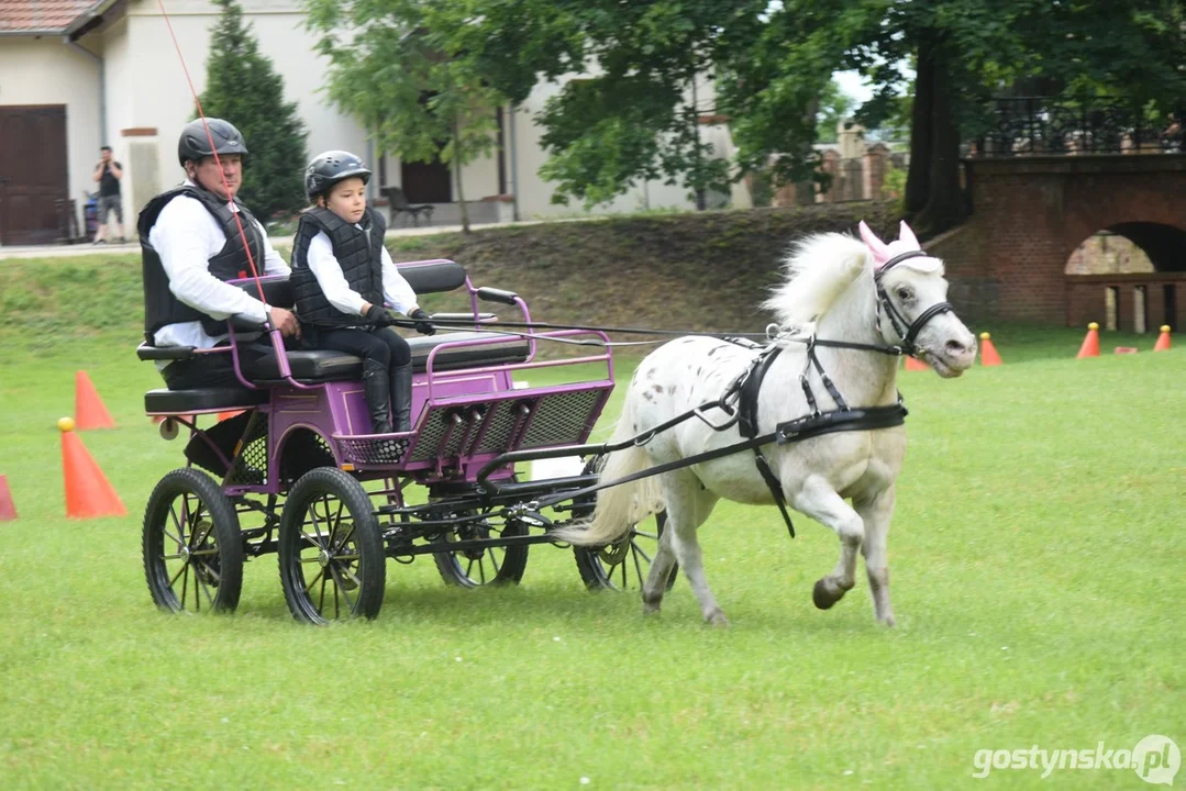 Rokosowo Horse Show 2024 - dzień pierwszy