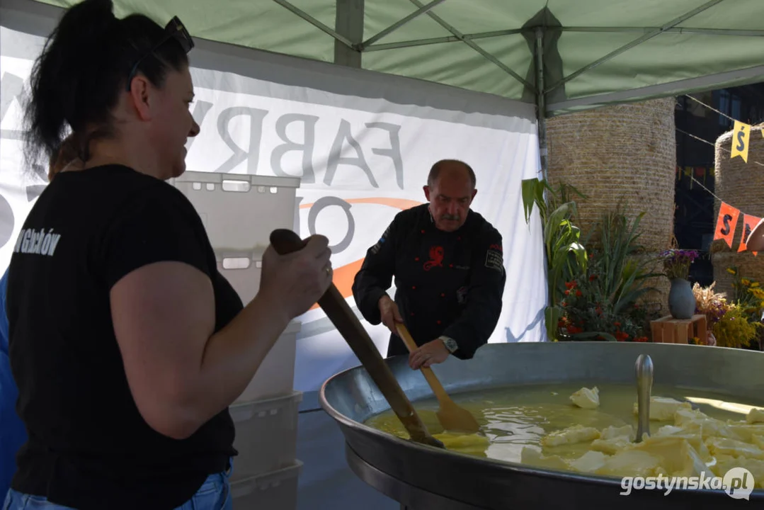 Święto Sera Smażonego w  w Pogorzeli - ustanowili rekord Polski  na największą porcję sera smażonego