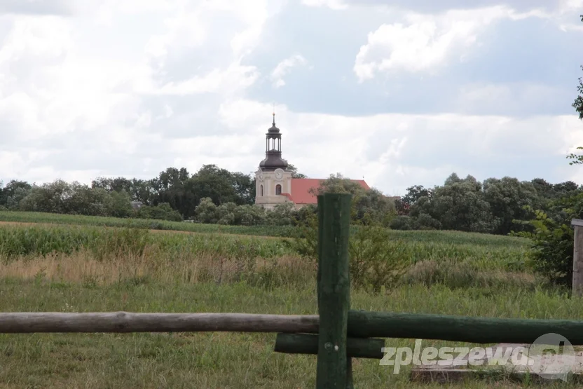 Wizyta w pracowni Magdaleny Głoskowskiej