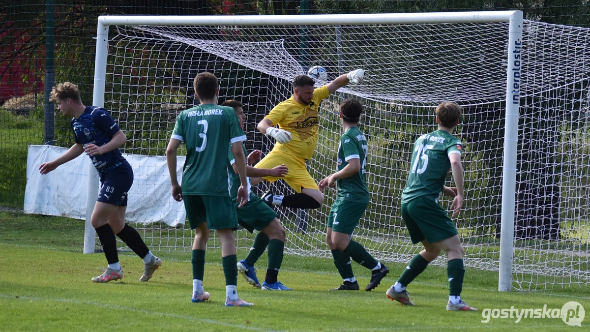 Pinsel-Peter Krobianka Krobia - Wisła Borek Wielkopolski 5 : 0