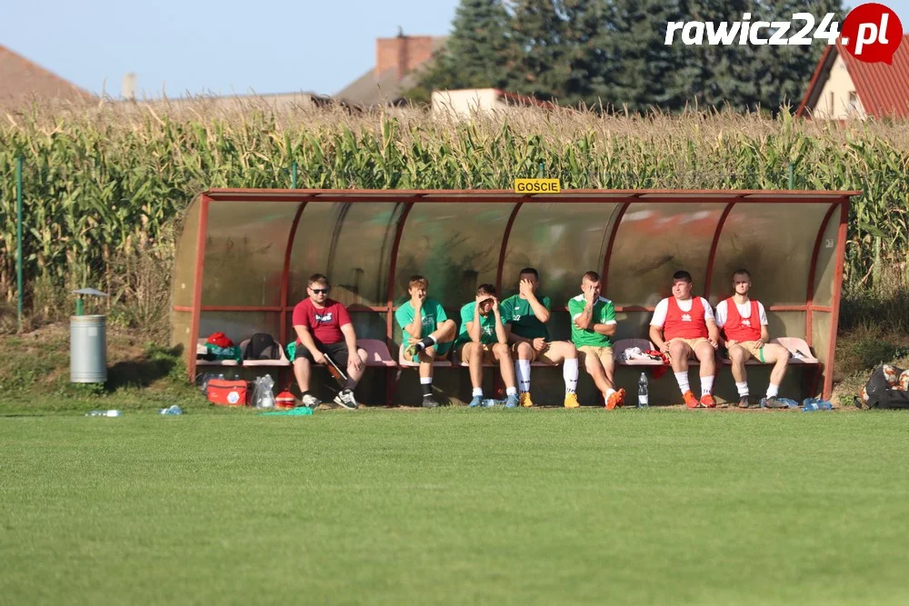 Awdaniec Pakosław - Wisła Borek Wielkopolski 2:5