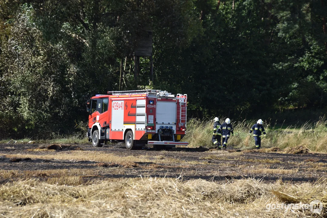 Pożar zboża w Osowie (gm. Gostyń)